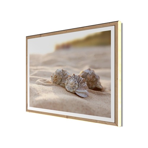 Wandbild gerahmt muscheln - wandbild,