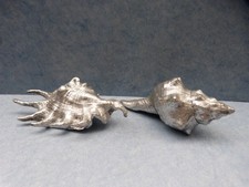 27829. Muscheln Schneckenhaus