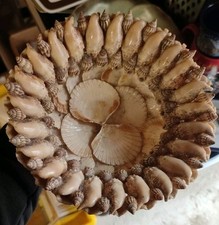 Dekoratives Muschel-Objekt –