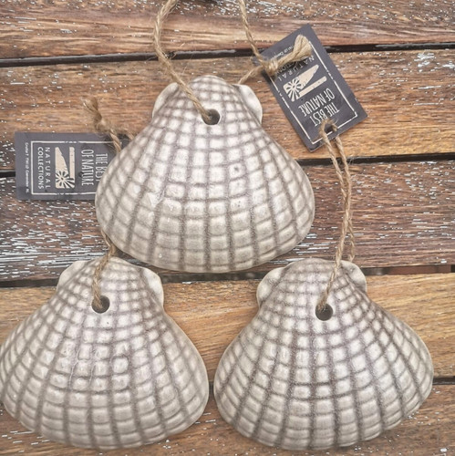 Muscheln maritime - 3, x
