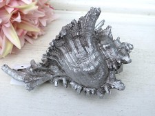 Dekofigur Muschel liegend