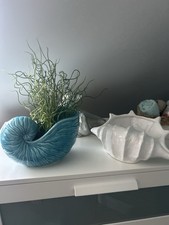 Deko maritim Muschel