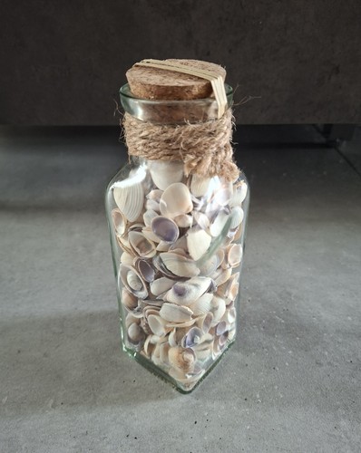 Maritime deko muscheln glas - muscheln, im