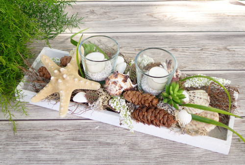 Windlicht muscheln sommer - windlicht,