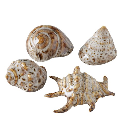 Deko 4er muschelset aus - 4er,