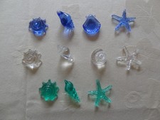 Deko maritim: 11 Muscheln