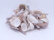 Muscheln Set Deko Natur