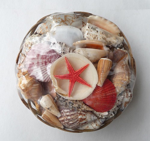 Muschelkorb 19 cm - 19,