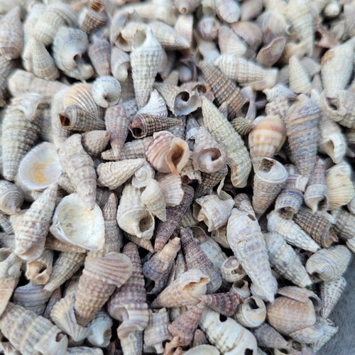 100g maritime dekoration - 100g,