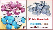 150 Gr. Echte Muscheln