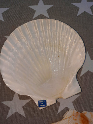 Muschelschalen deko maritim - 4x,
