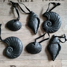 6 x Muscheln Maritim 3.5 - 6.5