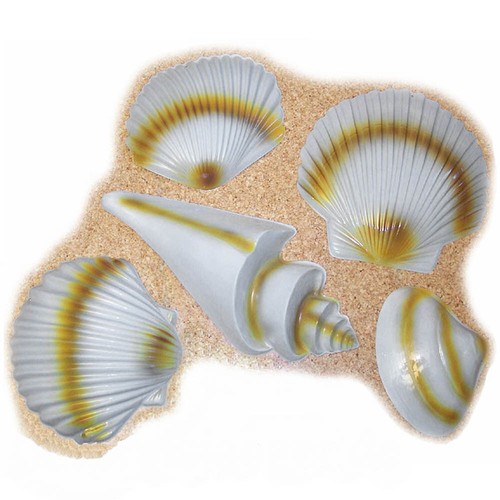 Muschel dekoration maritime - /,