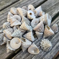 35 x Maritime Dekoration