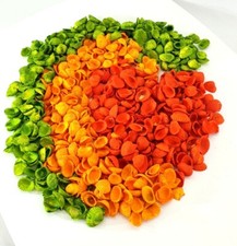 Muscheln Mix bunt gefärbt