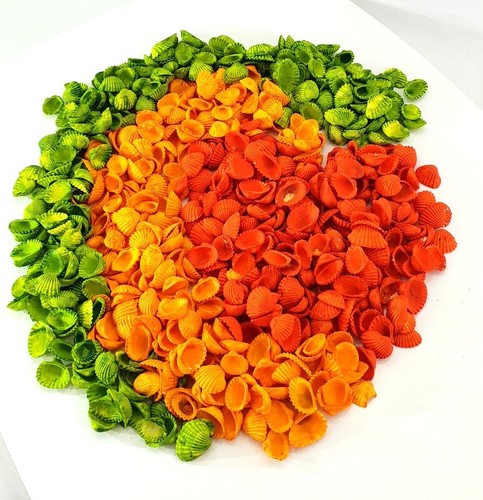 Muschel mix bunt - bunt, gefärbt