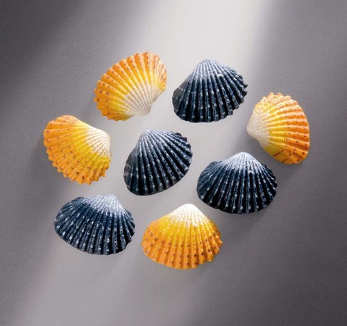 Muscheln gelb blau - muscheln, deko