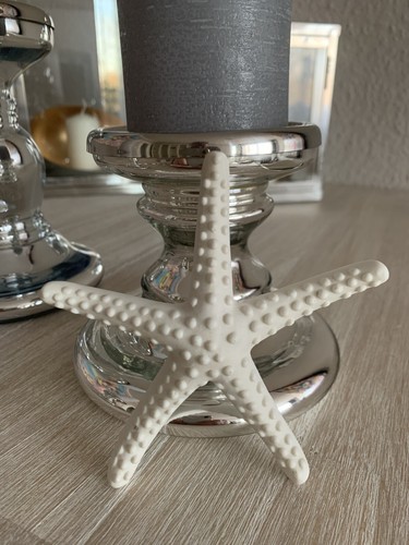 Seestern maritime deko - seestern,