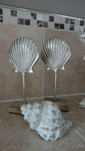 Muschel cm meer silber - meer,