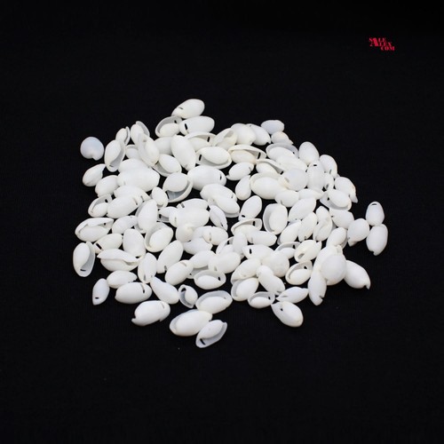 100gr muschel perlen gebohrt - 100gr,