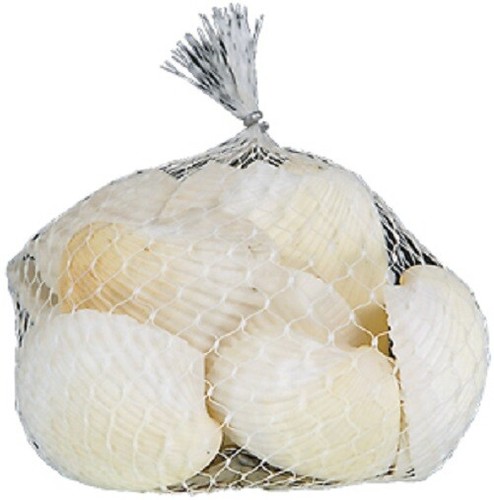 Muscheln netz - (arca, arca)