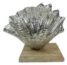 Muschel auf Holz Sockel 20 x